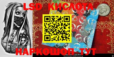 гидропоника Сланцы
