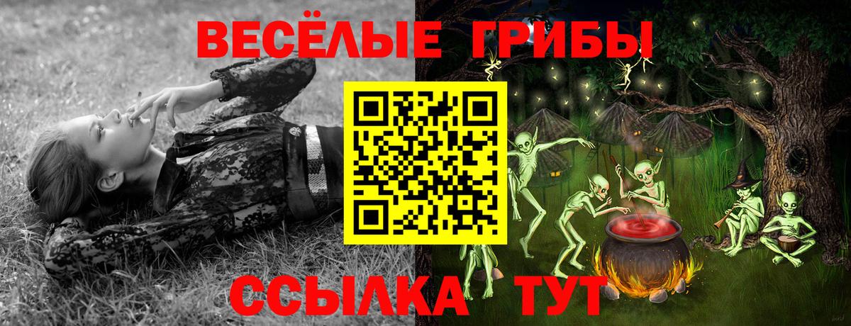 Нововоронеж  Псилоцибиновые грибы ЛСД  Галлюциногенные грибы Psilocybine cubensis  Вход с VPN 